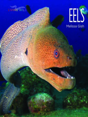 cover image of Eels